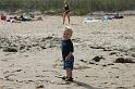 Picture 3342